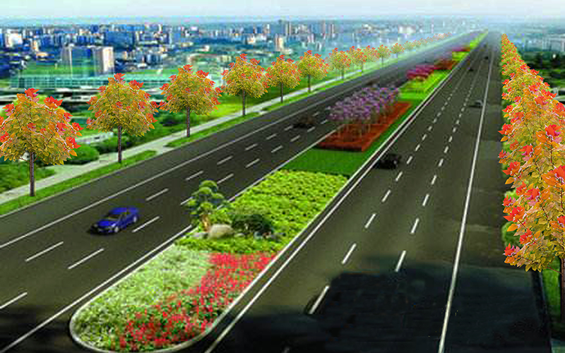 高速公路+高鐵+國道+省道+鄉(xiāng)道